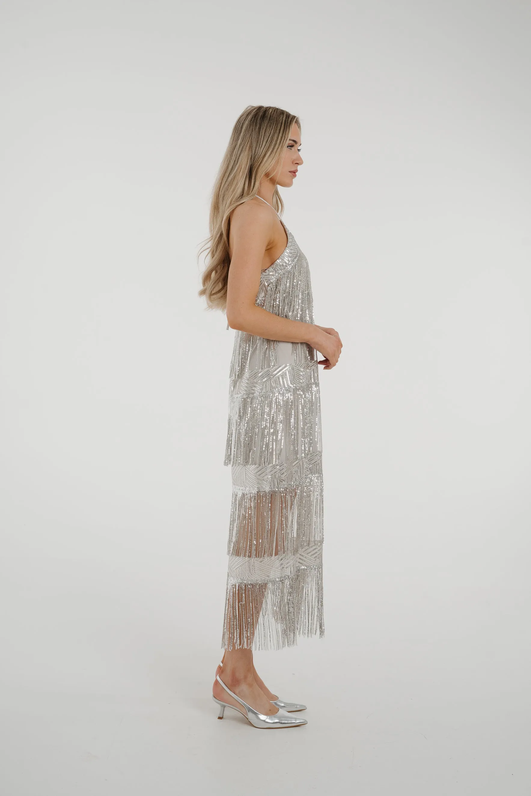 Alana Fringed Sequin Dress In Silver